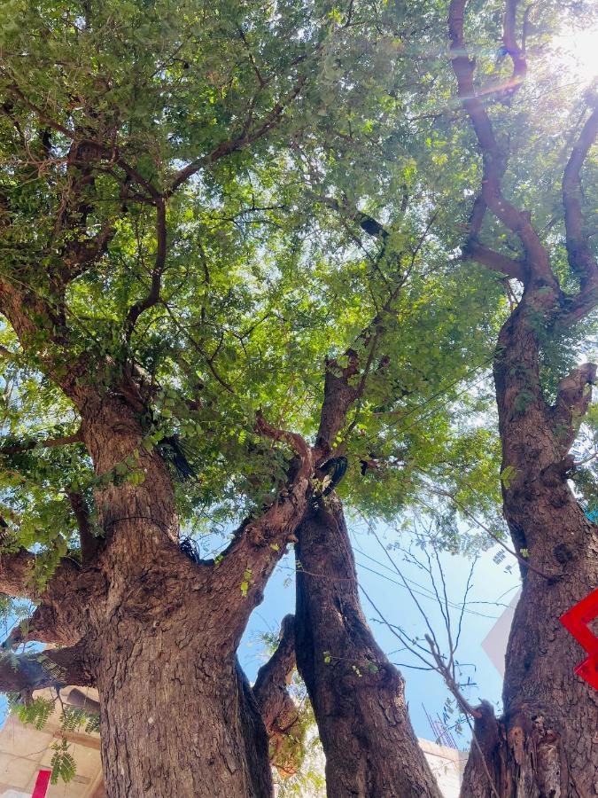 فندق Raja Residency Alāndurai المظهر الخارجي الصورة